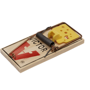 Mouse trap PNG-28431